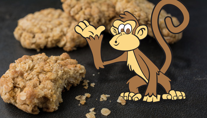 Oatmeal monkey food